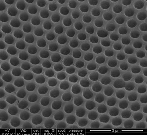 SEM image of the PDMS patterns. The nano-cones are formed from the negative of replication of nano-pits on the PC master pattern.