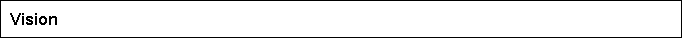 Text Box: Vision